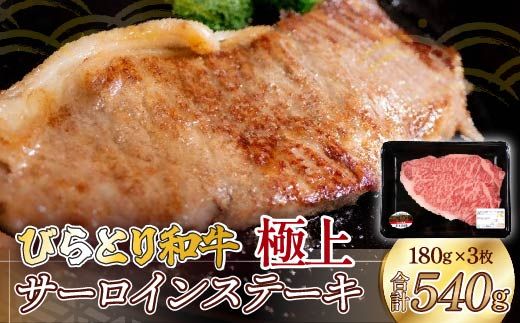 びらとり和牛極上サーロインステーキ約180ｇ×3枚 ふるさと納税 人気 おすすめ ランキング びらとり和牛 黒毛和牛 和牛 肉 サーロイン ステーキ 北海道 平取町 送料無料 BRTH028