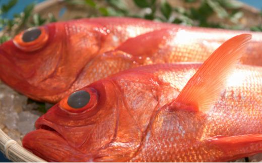 漁師の食卓定期便【３回お届け】ry009