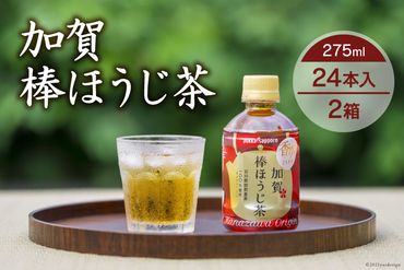 加賀棒ほうじ茶　275ml　2箱（24本入×2箱） [油谷製茶 石川県 宝達志水町 38600432] 