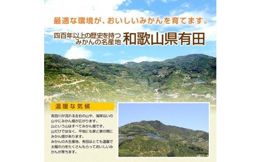 156.特選 旬のかんきつ詰め合わせ 10kg(A156-3)