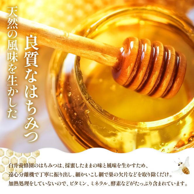 蜂屋のはちみつ　最高品種あかしあ蜜200g9本 pd_5434749976dd6b4814914379da9