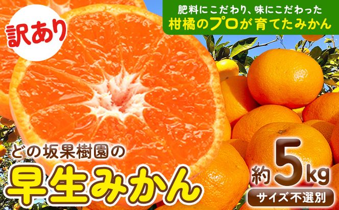 みかん 和歌山 訳あり 早生 みかん 5kg ( サイズ 不選別 ) どの坂果樹園《12月上旬-2027年2月上旬出荷予定》 和歌山県 日高町 産地直送 家庭用 規格外 不揃い 果物 柑橘 サイズ 不選別 訳ありみかん わけありみかん 送料無料---wsh_dsk54_12j2j_25_9000_5kg---