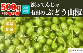 【６月下旬出荷予定】冷凍山椒 凍ってんじゃ ぶどう山椒 500g ( 100g × 5袋 ) 和歌山県産 【みかんの会】 AX279