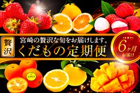 《2025年発送先行予約》【期間・数量限定】青果店厳選！「6ヶ月お届け！くだもの定期便Vol.2」_M153-T026