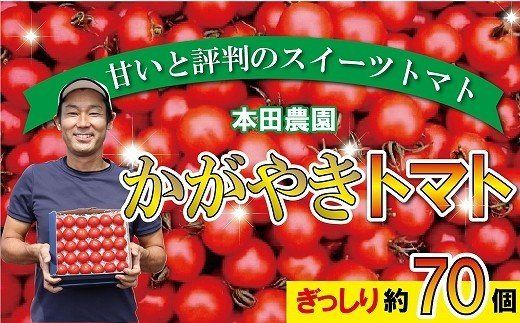 【人気のスイーツトマト】本田農園のかがやきトマト2箱（約70個）014002