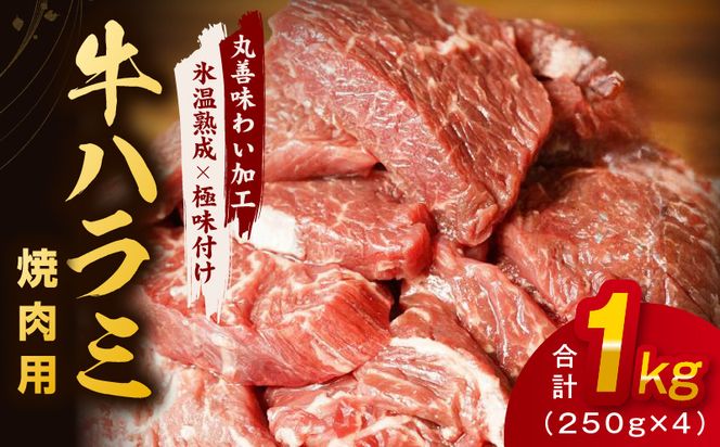 y{򍲖szmrz0021  n~ 1kg  250g×4PyXn×ɖt t  󂠂 s ē BBQ u߁z
