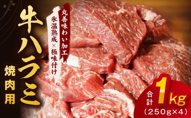 mrz0021 【氷温熟成×極味付け】牛肉 ハラミ 1kg（250g×4）