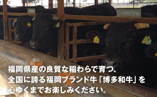 博多和牛生ハンバーグ140g×5個入 ハンバーグ 生ハンバーグ 博多和牛 お肉屋さん