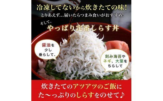 453.ザ☆プレミアムしらす1kg(A453-1)