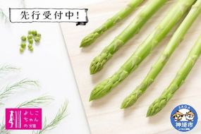 【先行受付 令和8年3月より発送】朝採りアスパラ定期便1kg×4回 【アスパラ アスパラガス グリーンアスパラガス モデル バーベキュー BBQ こだわり 採れたて 野菜 】(H013108)