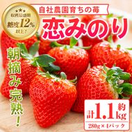 農園ガーデン空産いちご 恋みのりセット(計1.1kg・280g×4P)国産 イチゴ 苺 フルーツ 果物【農園ガーデン空】a-12-34-z