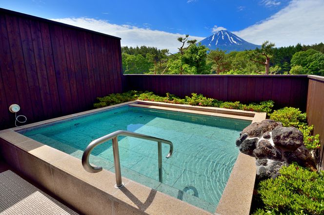 日帰り温泉「富士眺望の湯ゆらり」 入泉券3枚 FAC010