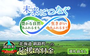 北海道 釧路町 ふるさと 応援寄附金 100,000円 （返礼品なし）＜ご寄附のみとなります ＞ | kushiro town 100000円 北海道 釧路町 釧路超 特産品 121-9121-03