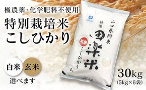 B018 「田楽米」コシヒカリ30kg≪エコやまぐち50認証取得≫