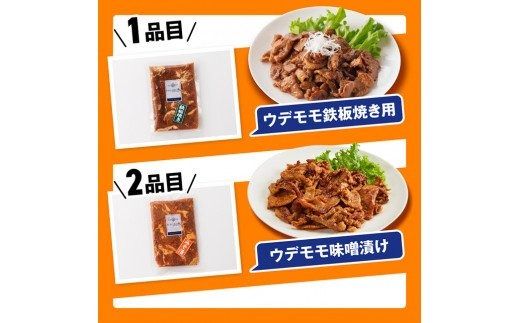 加工食品 さんきょうみらい豚 満喫セット （加工品） 【 満喫 セット 精肉 豚肉 国産 九州産 宮崎県産 川南町産 ウデ モモ 鉄板焼き みそ漬け 味噌漬け 生ハム ハンバーグ 簡単調理】 ☆ [E0102c]