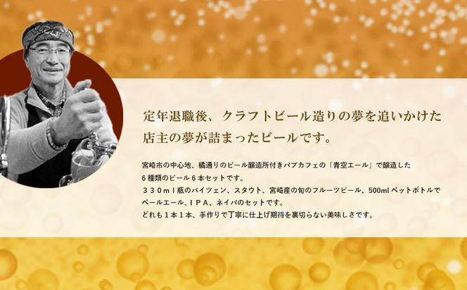 青空エールこだわりのクラフトビール飲み比べ詰め合わせセット〈フルーツビール入り〉6種6本（500mlペットボトル×6本）_M170-002