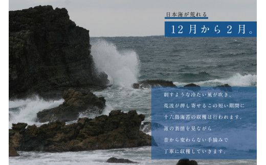 【希少】天然岩のり　十六島海苔（うっぷるいのり）【1_4-033】