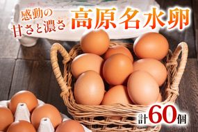 高原名水卵 60個 豊かな自然で育ったアスタキサンチン含有の高原名水卵【感動の甘さと濃さ】｜こだわり卵 たまご タマゴ 玉子 生卵 鶏卵 高原養鶏場 矢板市産 
