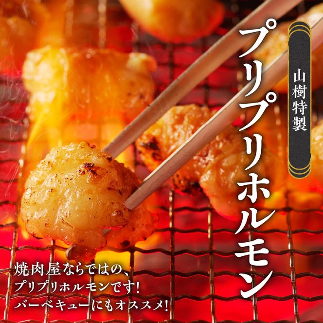 山樹の国産牛白ころホルモン焼き（丸腸）味付　300g [047R19]