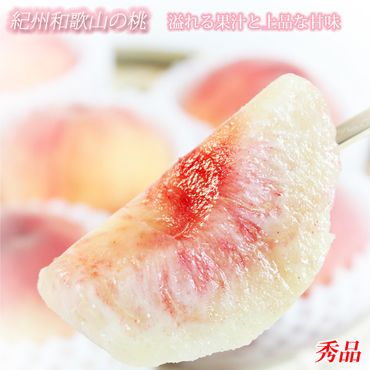 秀品　紀州和歌山産の桃　3玉　化粧箱入　※2024年6月下旬頃〜2024年8月中旬頃順次発送（お届け日指定不可）【uot750】