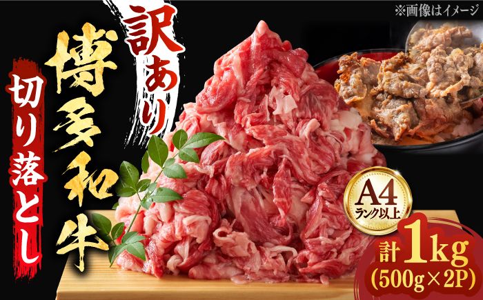 [たっぷり大容量!]博多和牛 切り落とし 1000g (500g×2P)[築上町][株式会社MEAT PLUS] [ABBP010]