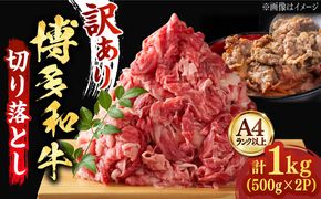 【たっぷり大容量！】博多和牛 切り落とし 1000g (500ｇ×2P)《築上町》【株式会社MEAT PLUS】 [ABBP010]