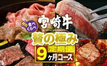 宮崎牛食べ比べ贅の極み 9ヶ月コース [G7423]