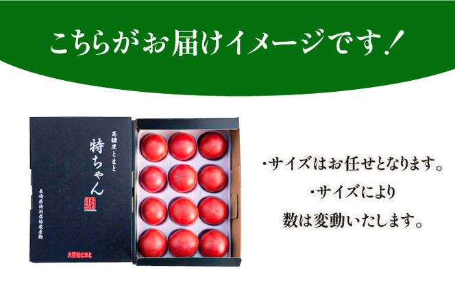 【ふるさと納税】【限定】 特別栽培 高糖度 トマト 特ちゃん 南島原市 / 島原雲仙農業協同組合 南部基幹営農センター [SAB001] とまと 野菜