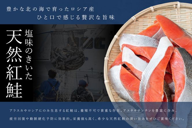 ykCHzg ؐg v10؂ 2؂ ×5pbN g 1kgȏ ̃v̋ɐ؂   VAY  ؂g ؂ TP VP Ⴏ Ⓚ É    CN l炵 Zbg  i lC qZ kC H H Yi 121-1262-171