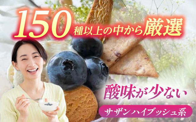 ＼毎年6月より順次発送/あいさい彩ベリー（ブルーベリー生果実）250g×2パック 【あいさいベリーLABO】 産地直送 青果ブルーベリー[AEBZ002]