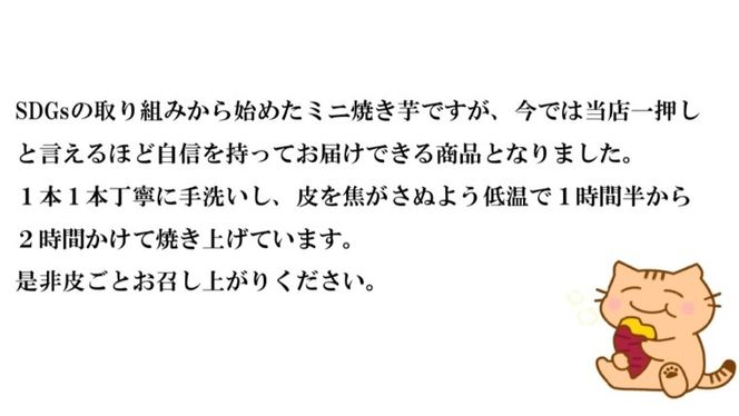 茨城県産 ミニ 焼き芋 6袋 入り イモ いも さつまいも サツマイモ さつま芋 スイーツ [CO005ci]