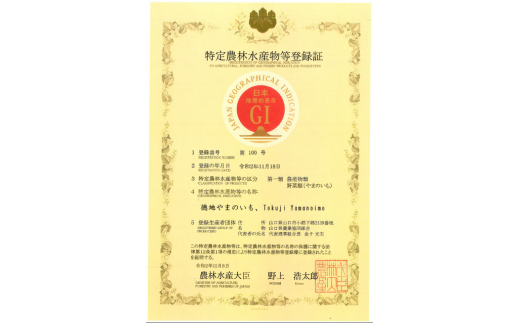 D120 徳地やまのいも箱入り2kg（優）