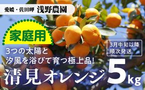 【先行予約】【家庭用】清見オレンジ計5kg｜柑橘 みかん ミカン フルーツ 果物 愛媛 ※2025年3月上旬頃より順次発送予定 ※離島への配送不可