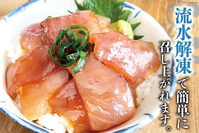 訳あり びんちょうまぐろブロック（刺身用）びんちょうまぐろ漬け セット [阿部長商店 宮城県 気仙沼市 20564779] 海鮮 魚 魚介類 鮪 マグロ まぐろ 冷凍 ビンチョウ ビンチョウマグロ 漬けまぐろ 漬けマグロ  刺身 刺し身 お刺身 詰め合わせ