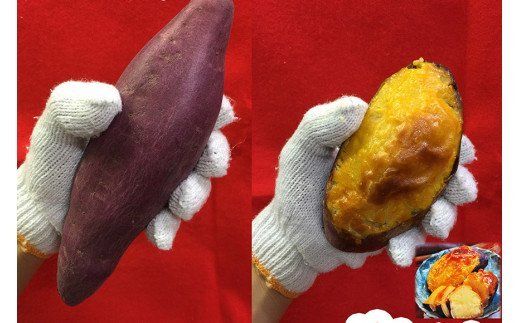 【和菓子屋がスイートポテト焼いちゃいました】ぽてっとな！250g×5個 [御菓子司つくし 大阪府 守口市 20940834] 