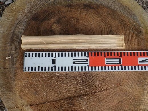 1B12「きこりの薪」A足柄山セット　針葉樹