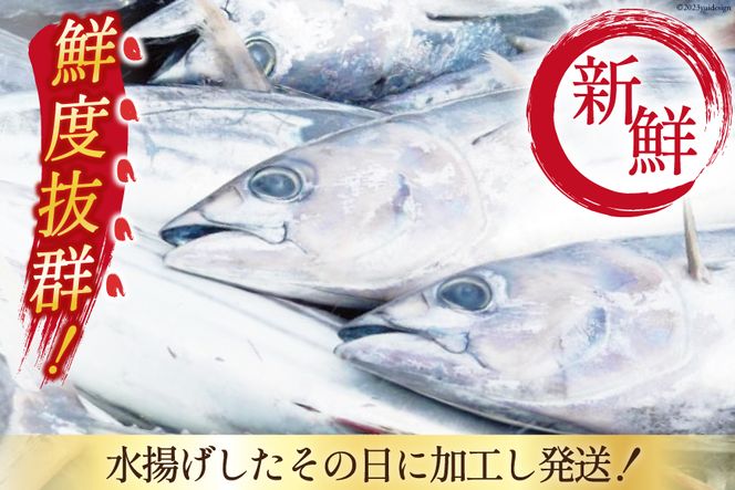 朝獲れ 産地直送 冷蔵便 生かつおタタキ 1kg タレ付 真空パック [阿部長商店 宮城県 気仙沼市 20564055] 冷蔵 鮮魚 魚 かつお カツオ 鰹 刺身 冷蔵 季節限定 カツオタタキ かつおタタキ
