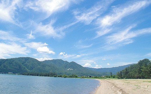 【M-962】びわ湖畔リゾート白浜荘　日帰り入浴・昼食付ペア［高島屋選定品］