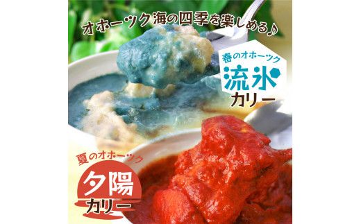 クリシュナ 春夏オホーツクカリー 2食セット 手焼きナン付 ( 食品 加工品 惣菜 カレー ナン セット 五つ星ホテル オホーツク海 オホーツクカレー )【127-0005】