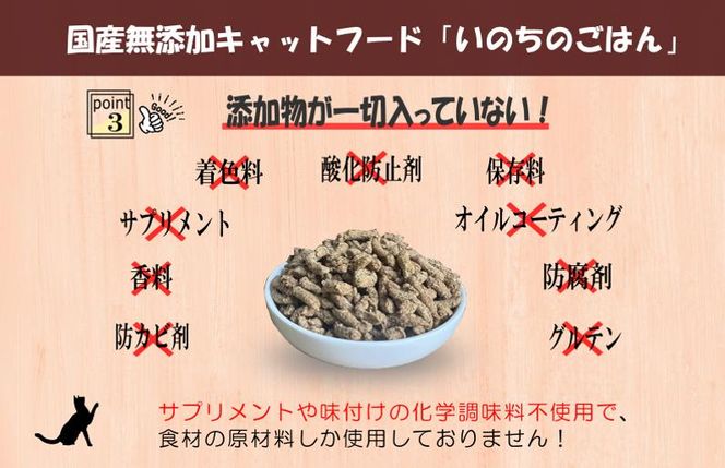 099H3598 国産無添加 キャットフード 500g「いのちのごはん」タンパク質 66％以上配合タイプ【猫 ねこ ペットフード チキン 手作り ヒューマングレード 国産】