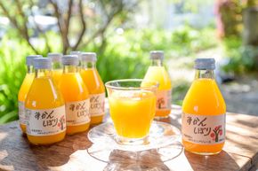 223.伊藤農園 100%ピュアジュース飲み比べ180ml×30本セット（A223-3）