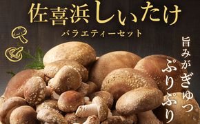 しいたけバラエティーセット800g | 椎茸 きのこ キノコ 国産 野菜 やさい 旬 季節限定 数量限定 ワケアリ 訳あり 訳アリ 大小混合 規格外 個包装 高知県室戸市 nc008