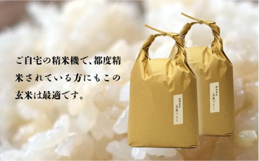 令和7年産【特A】評価のお米「元気つくし」5kg×2袋 [10kg] [玄米]《築上町》【株式会社ベネフィス】[ABDF031]