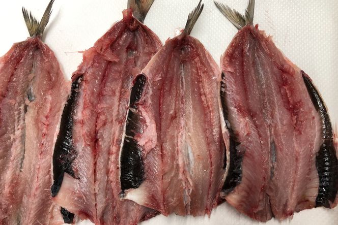 【簡単揚げるだけ】カジキマグロと旬の魚フライセット 各500g 計1kg [原商店 石川県 宝達志水町 38600588] 惣菜 揚げ物 フライ 冷凍