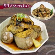つぶ貝 大船渡産 ボイル 1kg 貝類 殻付き 三陸産 国産 粒貝 瞬間冷凍 お刺身 刺身 刺し身 煮物 焼き物 鍋 おつまみ おかず 貝 海産物 海鮮 魚介類