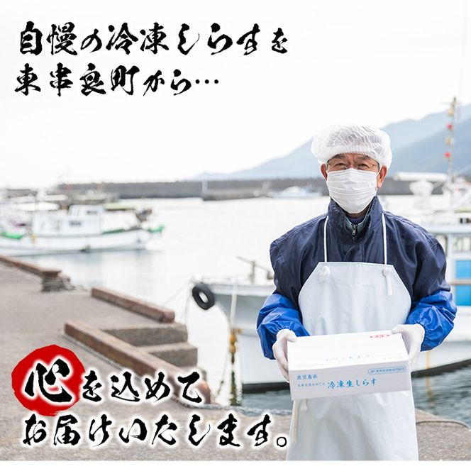 【0113401a】鹿児島県産生しらす(冷凍)(計600g・100g×6パック)シラス 魚 魚介類 小分け 国産 鹿児島 冷凍【東串良町漁業協同組合】