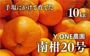 【先行受付】【数量限定】南柑20号（生果）10kg ｜ 柑橘 みかん 温州みかん ミカン 蜜柑 果物 フルーツ 愛媛県産　※2024年12月上旬頃より順次発送予定