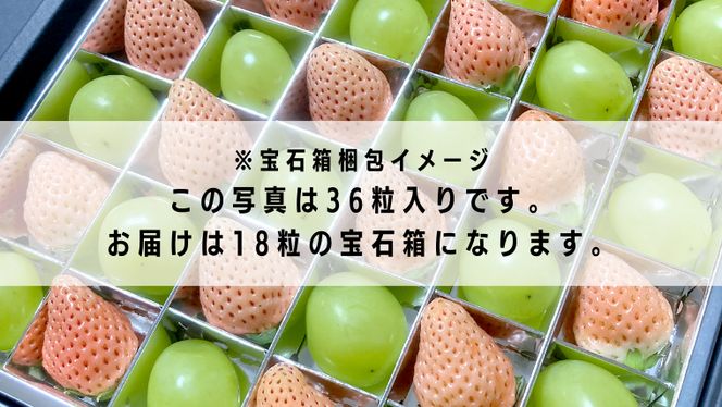 y錧΂݂炢szy Ε lt z VC}XJbgƔ Δ 18y12甭Jnzi錧ʕԗi [Ԃǂ]Fs@[]F闢Yj  C`S  C`S VC}XJbg }XJbg Δ [BI376-NT]