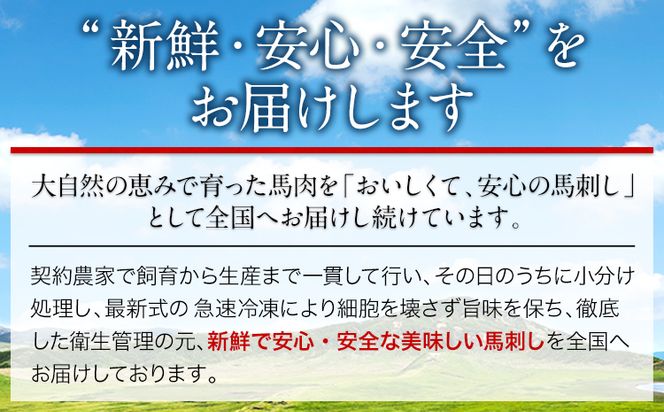 赤身馬刺し ロース 200g ブロック数不定 醤油付き 5ml×2袋 株式会社KAM Brewing 《30日以内に出荷予定(土日祝除く)》熊本県 大津町 馬肉 馬刺し 赤身 ロース 熊本県産 国産---so_fkamakrs_30d_24_18000_200g---