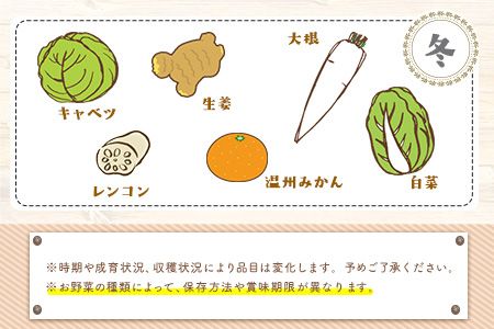 旬の新鮮野菜・果物詰合せセット たっぷり8-12品目 熊本県氷川町産 道の駅竜北《30日以内に出荷予定(土日祝除く)》---sh_cmitiysi_30d_23_18000_8p---